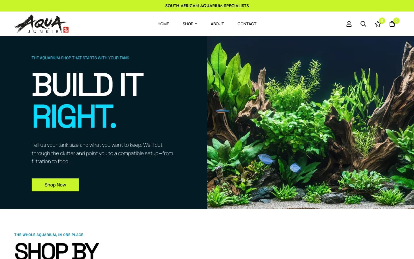 Aqua Junkie homepage with a planted aquarium and the headline Build it right